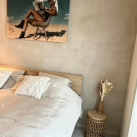 Apartment Sleepy Monkey