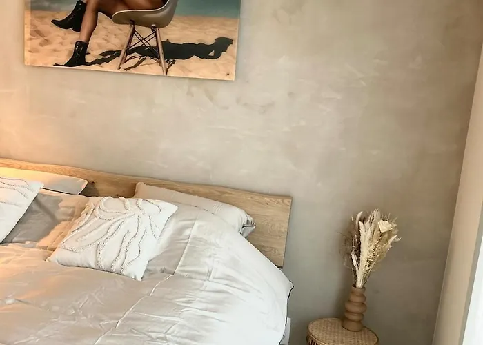 Apartment Sleepy Monkey